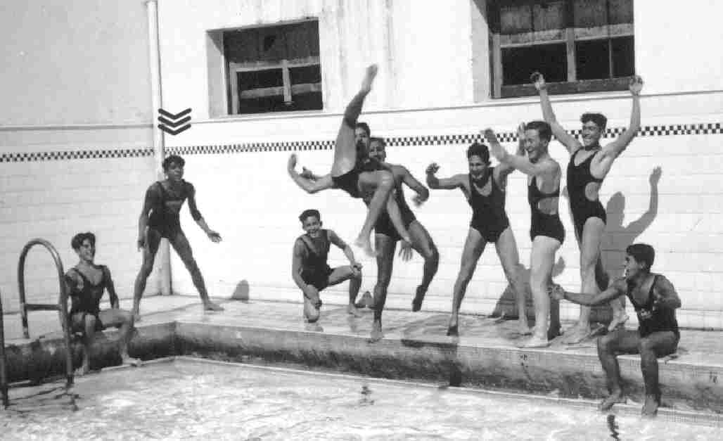 great wolf swim team